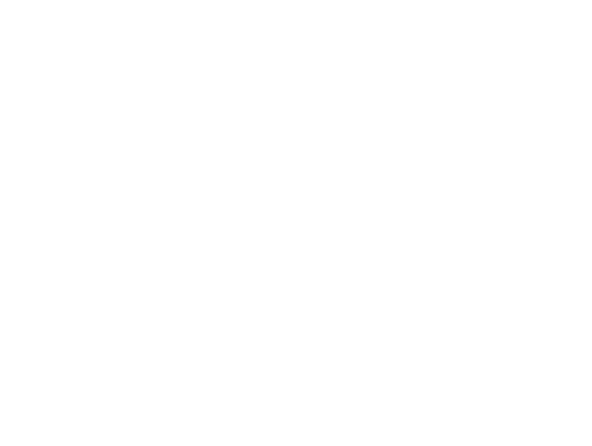 Shine Pillow